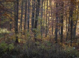 N Haywood Rd, Webberville, MI 48892