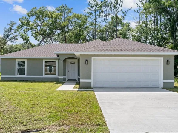 238 Locust Pass Ln, Ocala, FL 34472