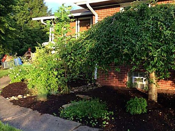 3rd image of 909 Maple Dr