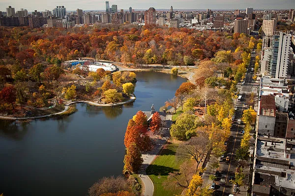 Sold by A & I Broadway | media 21