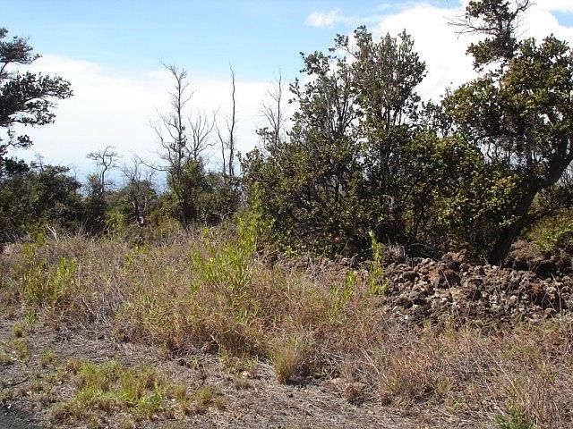 2nd image of Koa Ln Lot 26