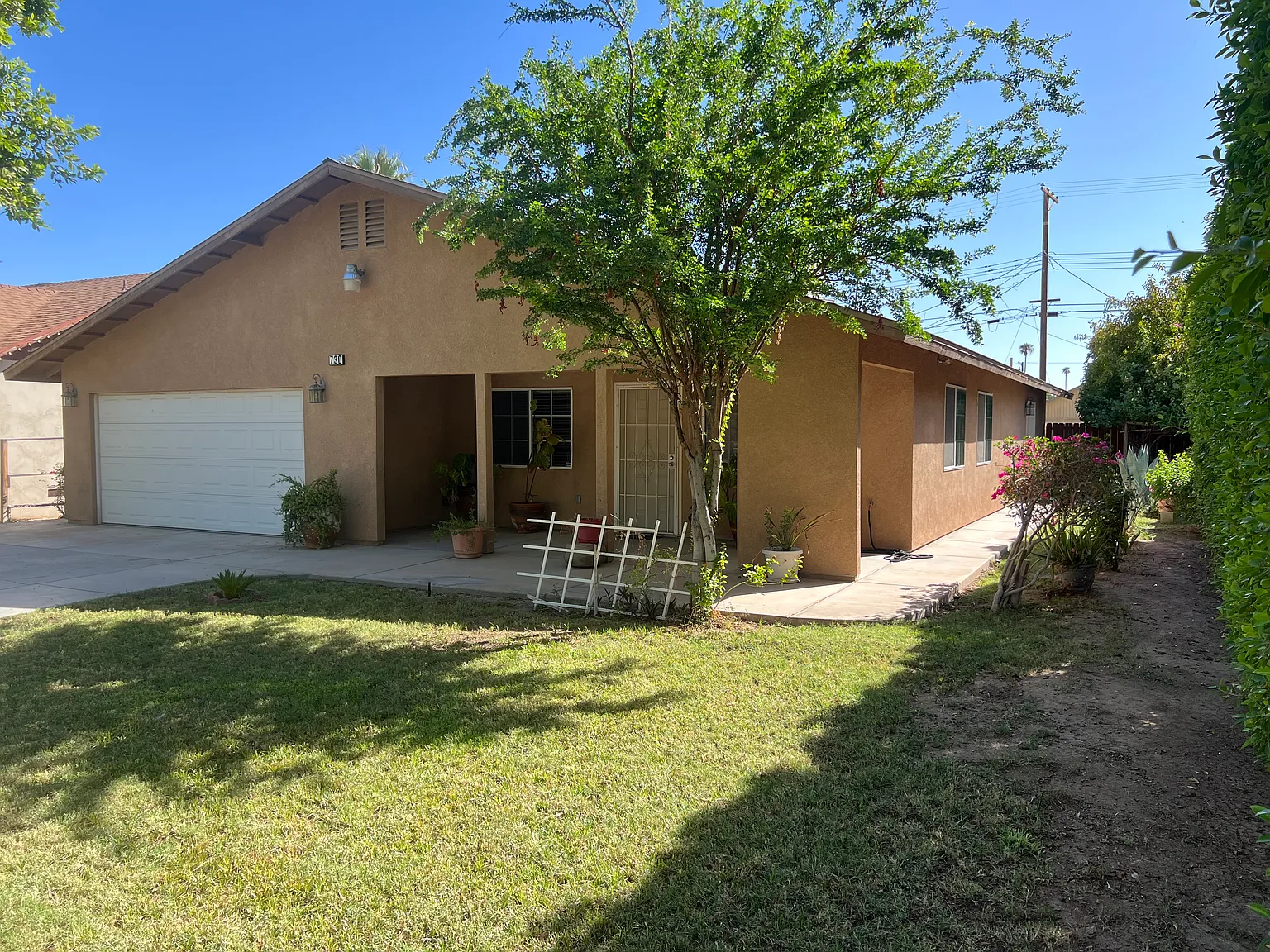 730 Pine Ave — Photo 3