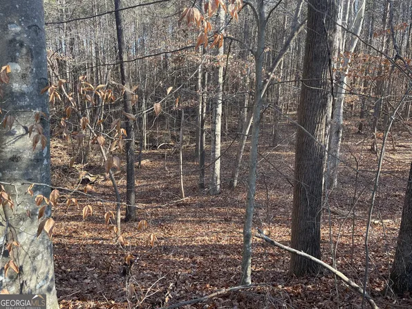 0 Camp Rd, Eastanollee, GA 30538