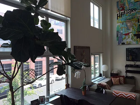 Rented by Loom Group | media 9