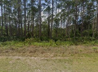 141 E Boundary Drive, Georgetown, FL 32139