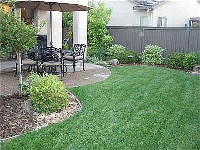 Backyard lawn