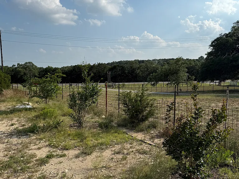 Crape Myrtle trees on west property line