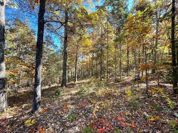 000 County Road 106d, Eminence, MO 65466