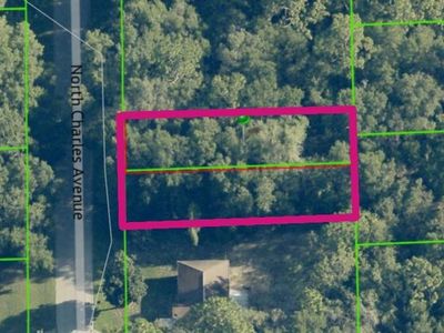 267 N Charles Ave Lot 66, Inverness, FL, 34453