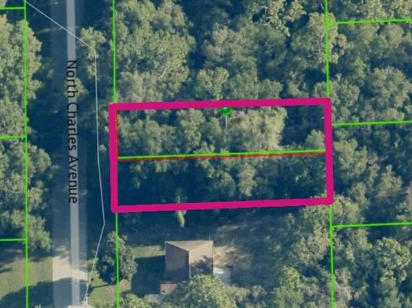 267 N Charles Ave Lot 66, Inverness, FL 34453