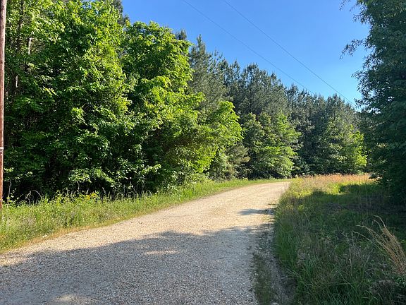 Image from Butcher Holler Rd