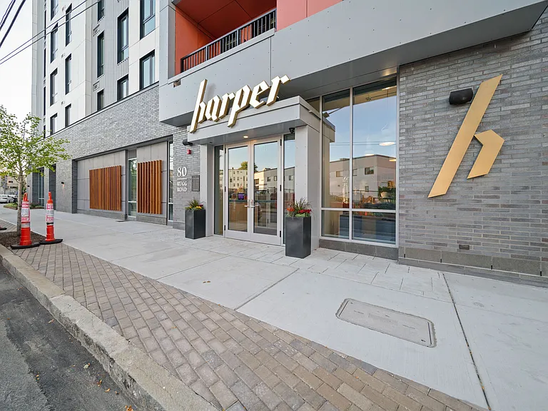 Harper — Photo 29