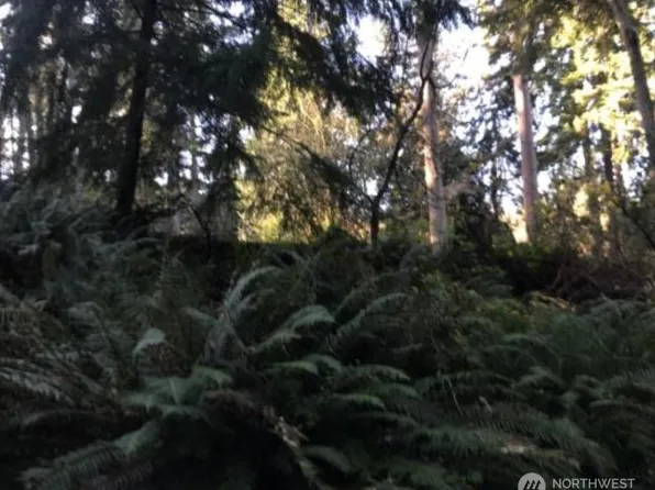 0 E Saratoga Road, Langley, WA 98260