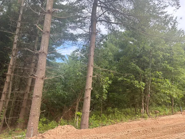 LOT 9 Brummer Dr, Randall, MN 56475