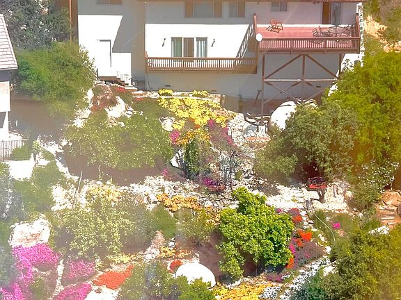 backyard in spring time