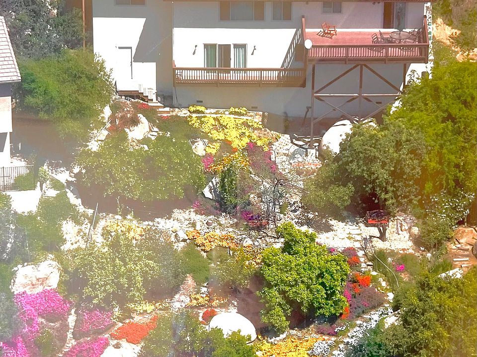 backyard in spring time