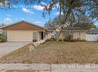 15103 Lake Holly Pl, Tampa, FL 33625