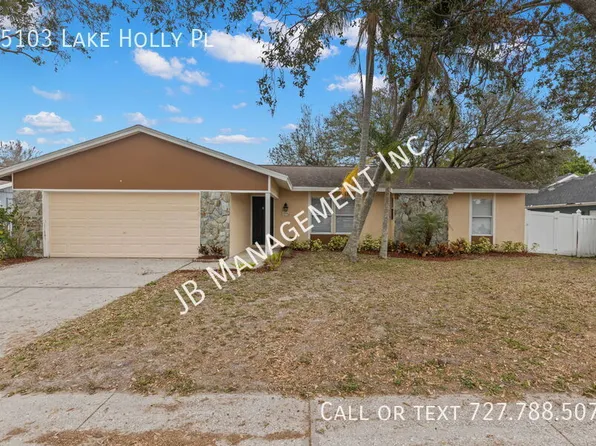 15103 Lake Holly Pl, Tampa, FL 33625