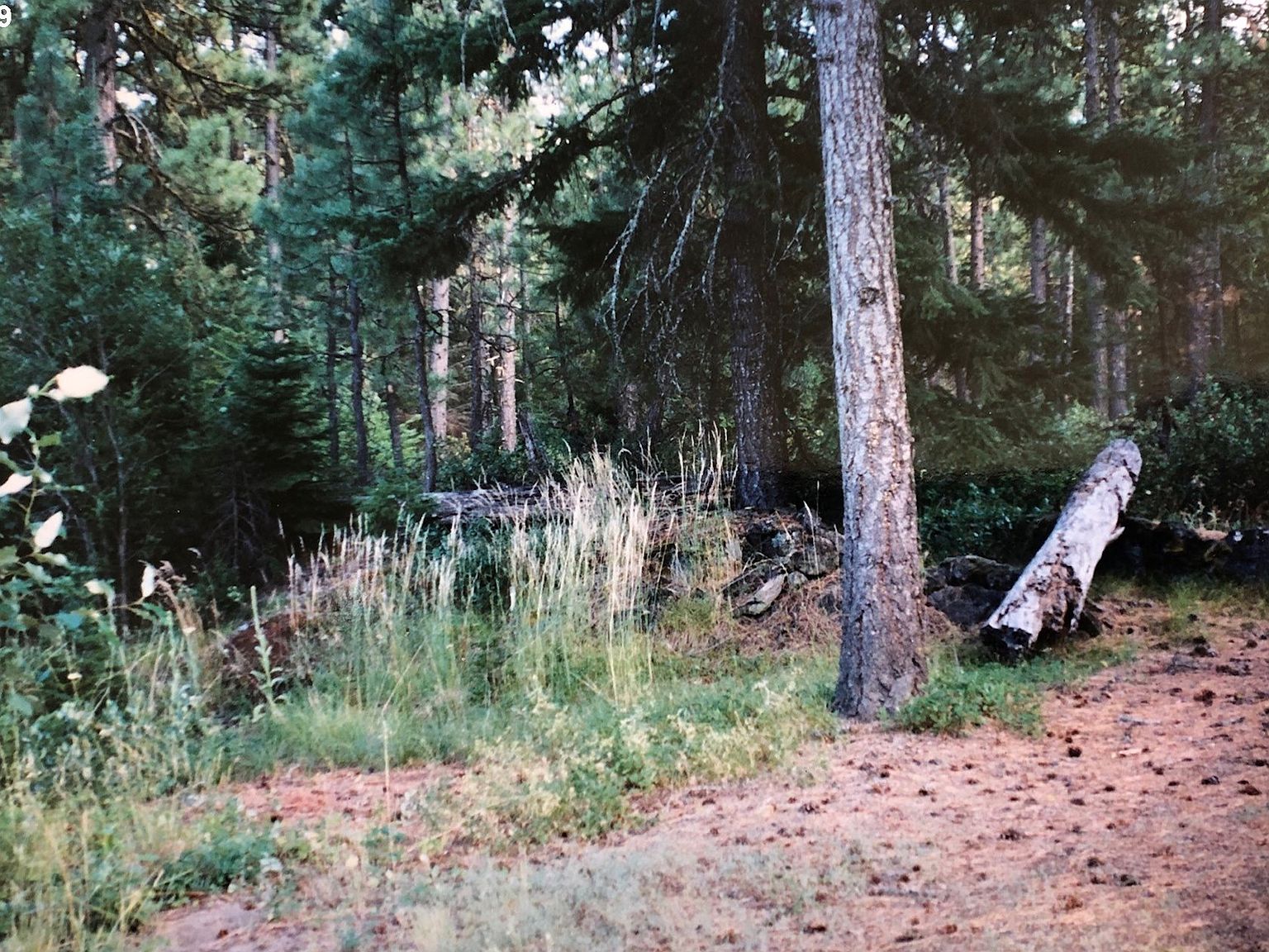 Lava Rd, Trout Lake, WA 98650 Zillow