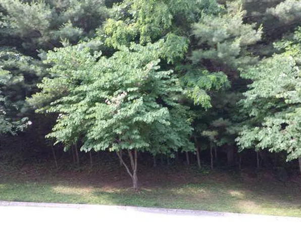 6208 Stratford Way, Roanoke, VA 24018