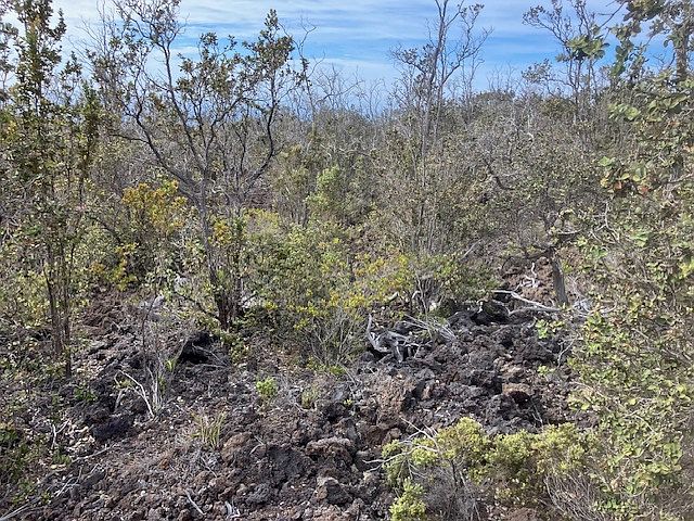 2nd image of Koa Ln Lot 16