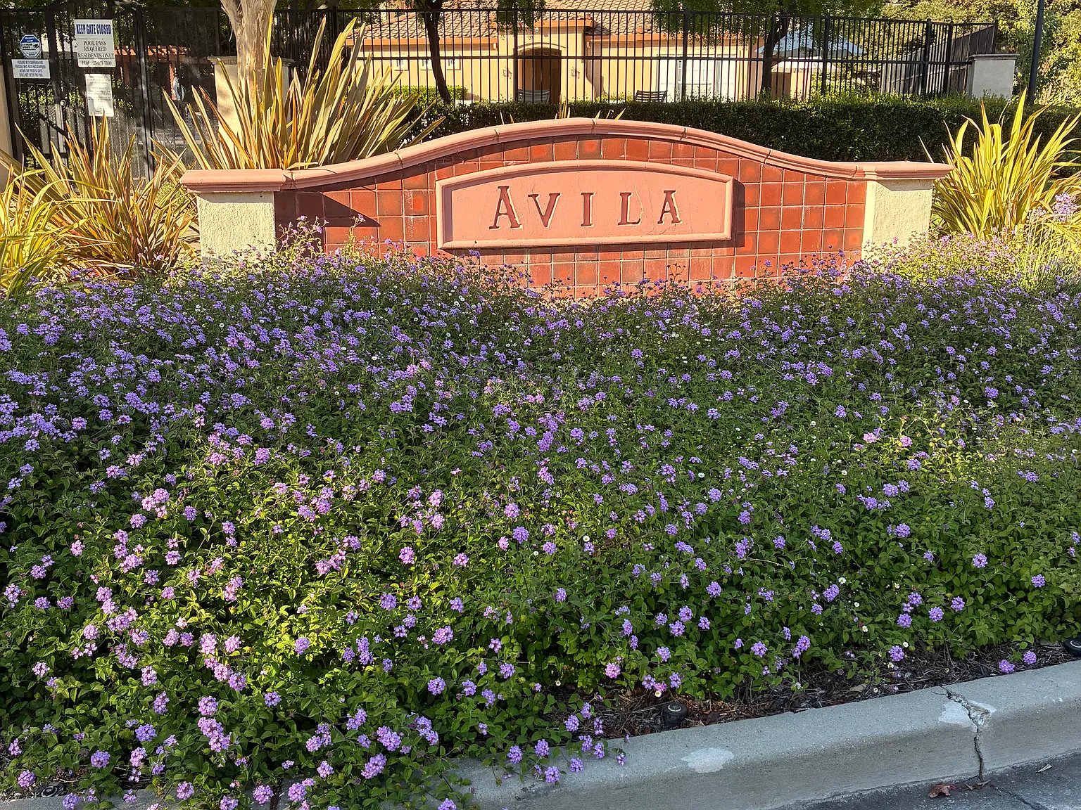 3 bed, 2.5 bath, 1719 sqft, $4,100 — Photo 1