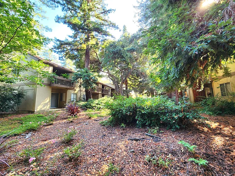 505 Cypress Point Dr #209 — Photo 29