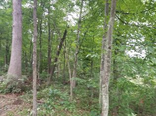 2650 S Walnut Ave, White Cloud, MI 49349