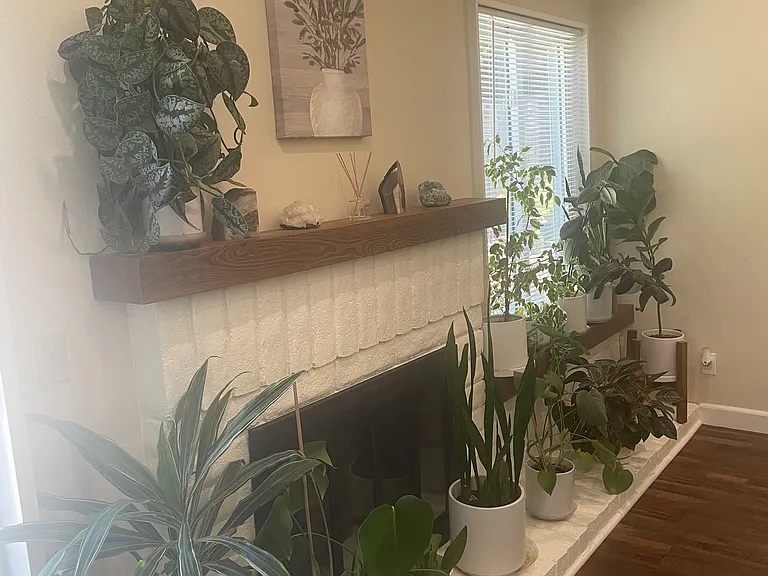 4109 Margaret Ct — Photo 35