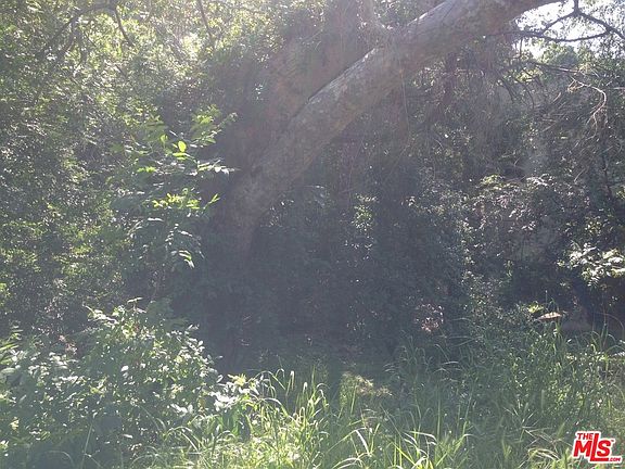 4th image of 3205 Laurel Canyon Blvd