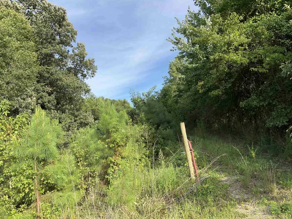 11241 Ward Rd, Whitakers, NC 27891