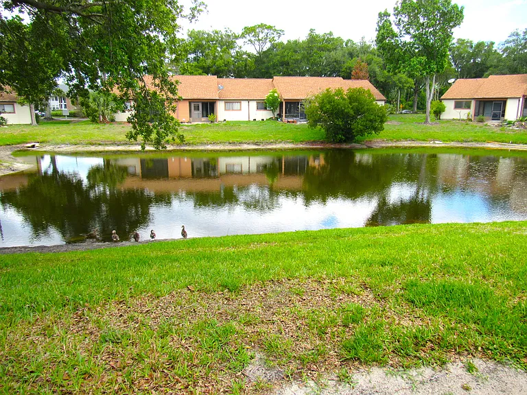 Lakefront