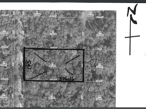 Table Rock Dr, Webster, FL 33597