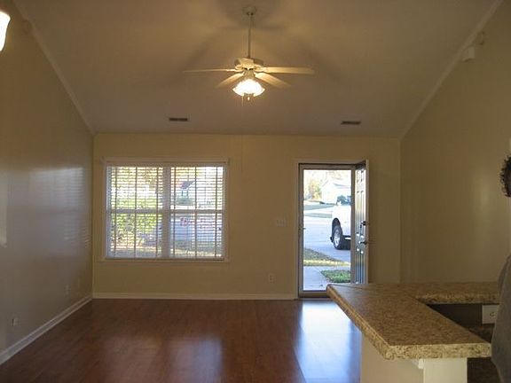Living Room vaulted ceiling