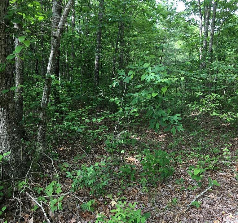1st image of LOT 48 Buckeye Ln
