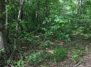 LOT 48 Buckeye Ln, Wilder, TN 38589