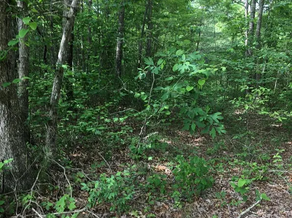 LOT 48 Buckeye Ln, Wilder, TN 38589