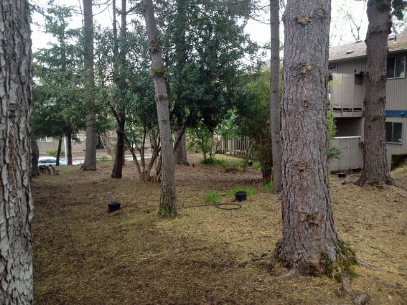 2nd image of 485 W Centennial Blvd APT 2