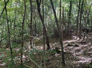 2 S Alta Vista Dr, Saluda, NC 28773