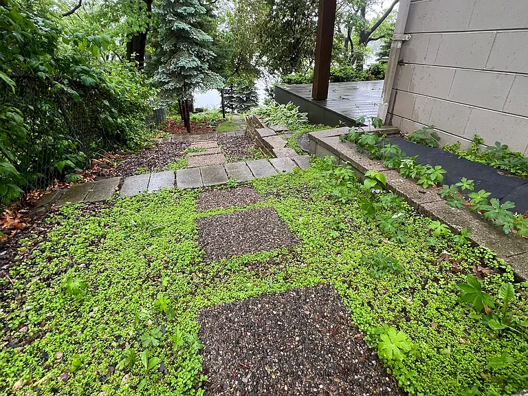 240 McCarrons Blvd N #1 — Photo 17