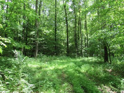 Dooms Chapel Rd, Symsonia, KY, 42082
