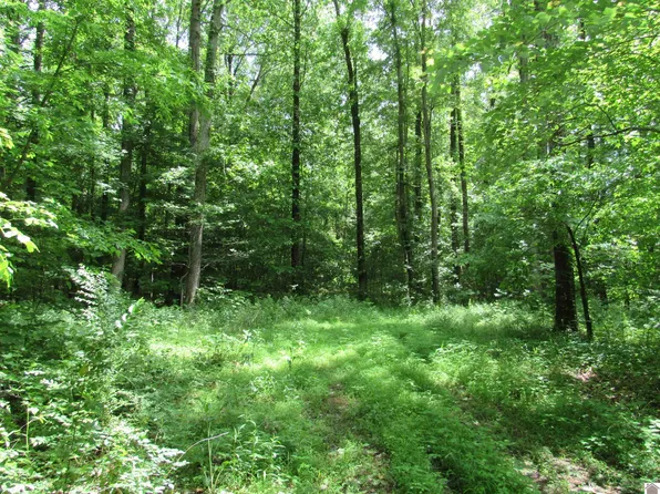 Dooms Chapel Rd, Symsonia, KY 42082