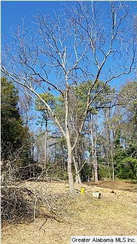 2nd image of 1104 Saulter Rd #0