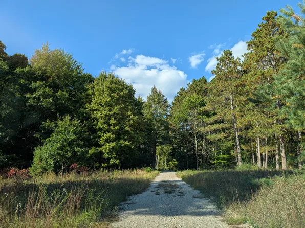 6698 Skeels Rd, Holton, MI 49425