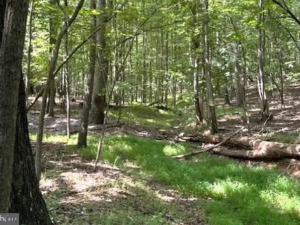 16418 Cedar Grove Rd, Sparks Glencoe, MD 21152