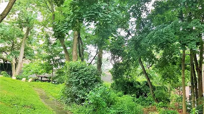 Sold by Douglas Elliman | media 23