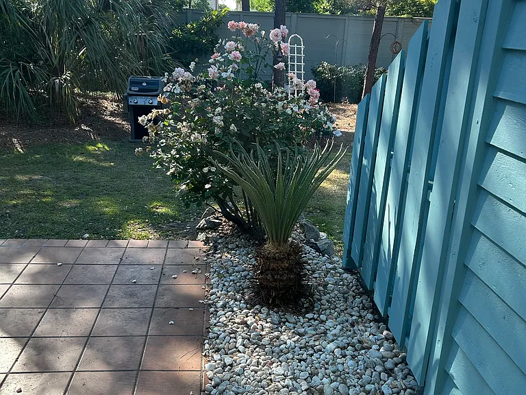 32 Shadow Moss Pl #32 — Photo 14