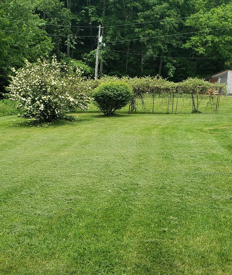 7 bed, 2000 sqft, $5,600 — Photo 3