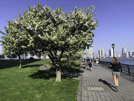 Sold by Mont Sky Real Estate | media 42