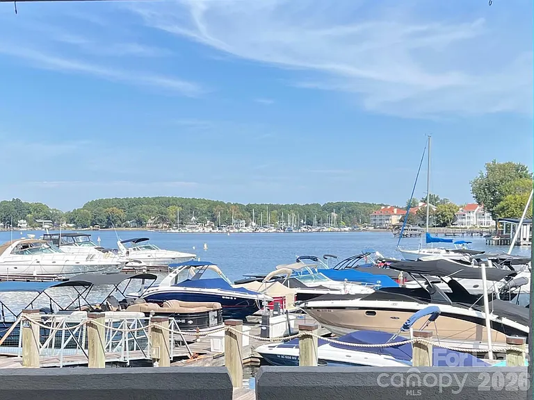 18629 Vineyard Point Ln — Photo 1